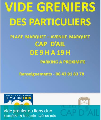 Vide Grenier