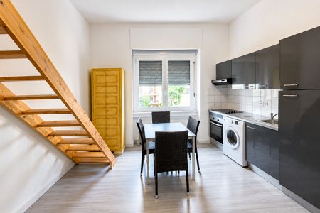 Studio - 19 m² - EZE