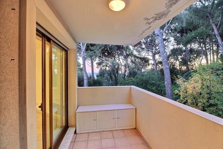 Appartement - 2 pièces - 45 m² - CAP D AIL