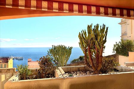 Studio - 30 m² - CAP-D'AIL