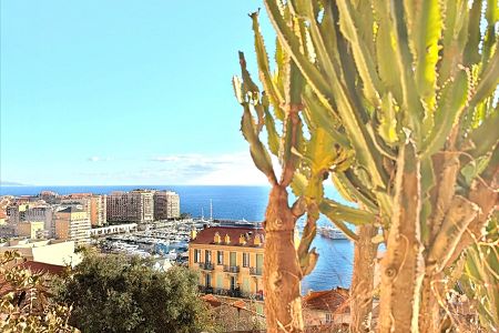 Studio - 30 m² - CAP-D'AIL